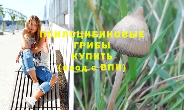 круглые Бородино